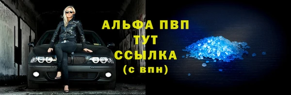 молекула духа Покров