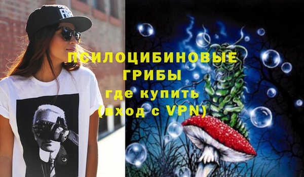 амф Грязовец