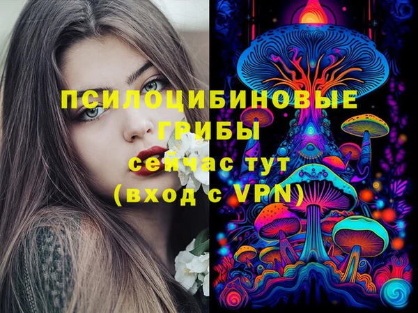 гидропоника Пестово