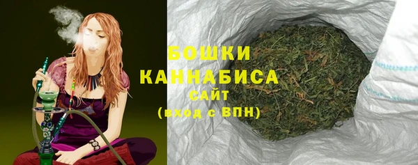 индика Грязи