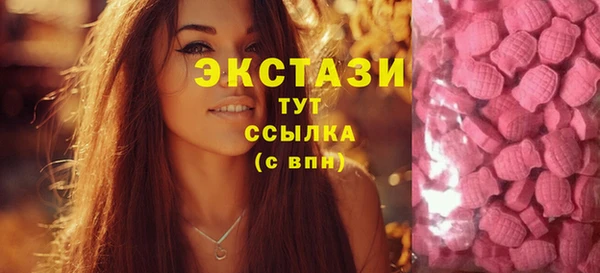 молекула духа Покров