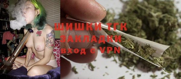 молекула духа Покров