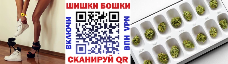 Купить закладки  Лаишево  Канабис сатива 